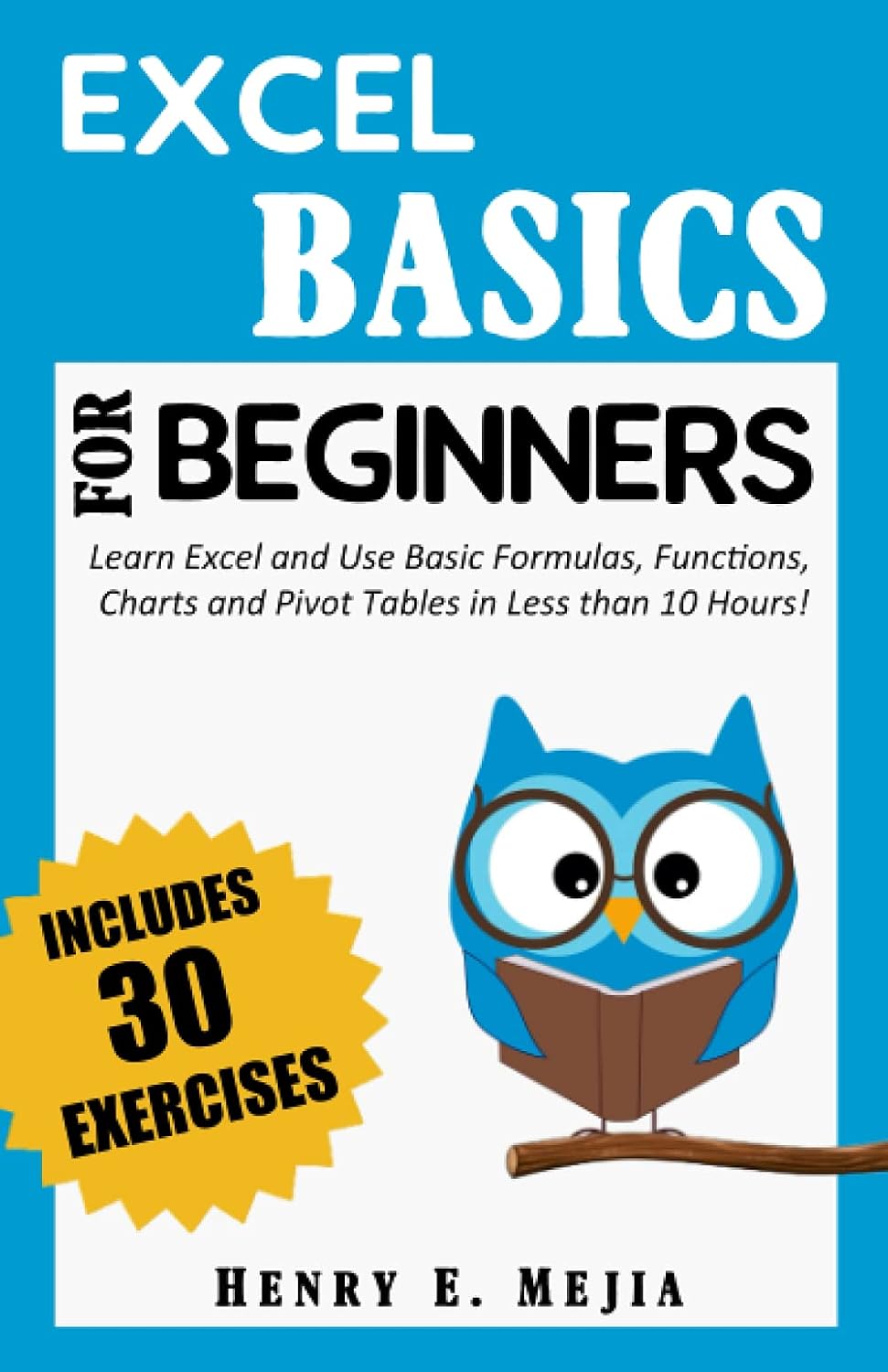 EXCEL BASICS FOR BEGINNERS: Learn Excel and Use Basic Formulas, Functions, Charts and Pivot Tables in Less Than 10 Hours! (Excel For Beginners)