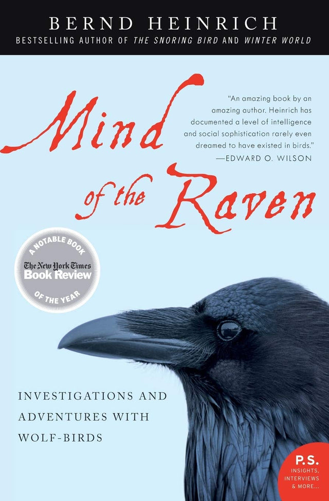 Mind of the Raven: Investigations and Adventures with Wolf-Birds ― A Renowned Naturalist's Field Study of Corvid Intelligence and Behavior