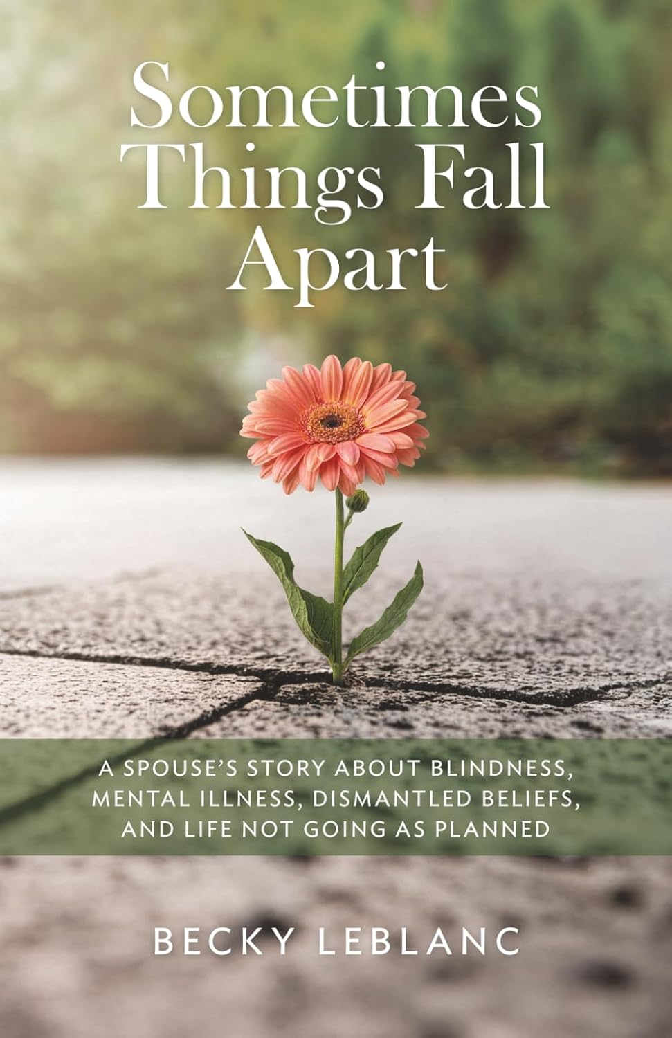 Sometimes Things Fall Apart: A Spouse’s Story about Blindness, Mental Illness, Dismantled Beliefs, and Life Not Going as Planned