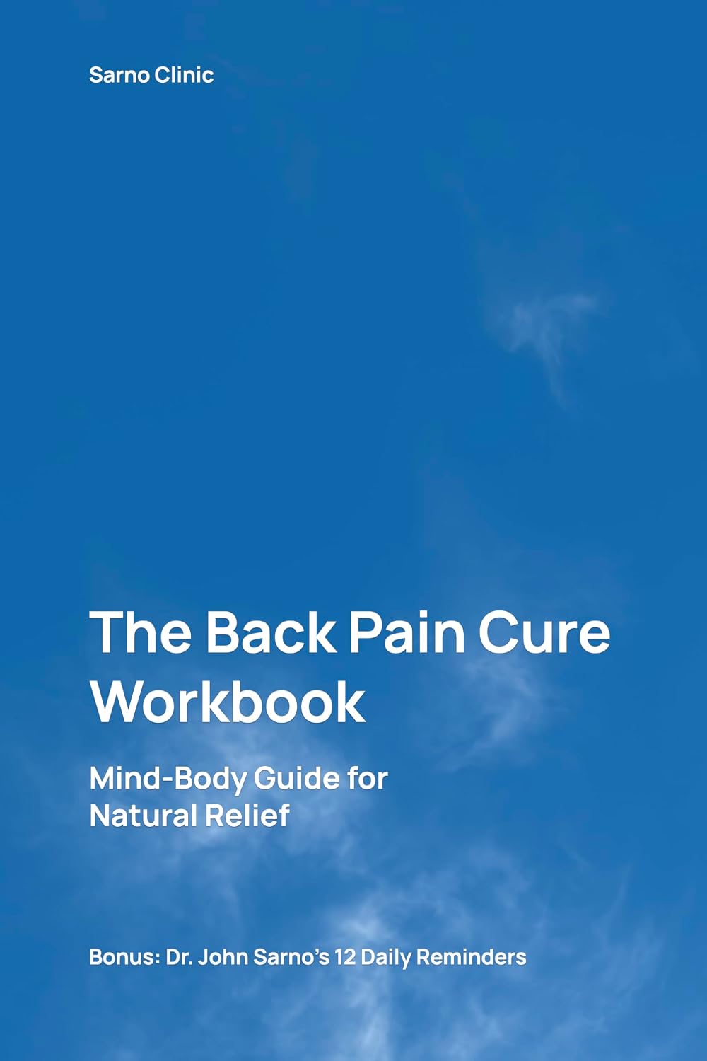 The Back Pain Cure Workbook: Mind-Body Guide for Natural Relief