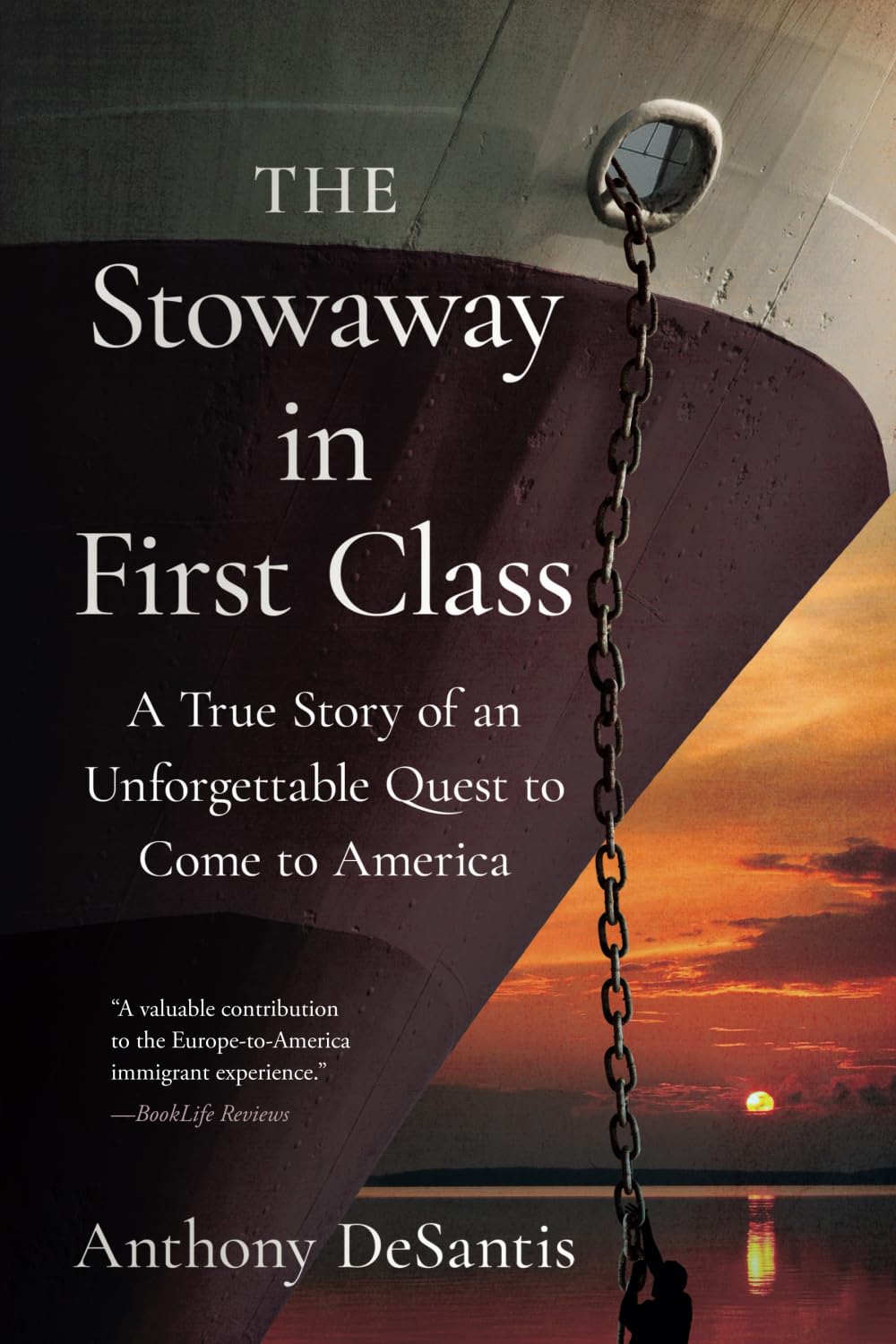 The Stowaway in First Class: A True Story of an Unforgettable Quest to Come to America