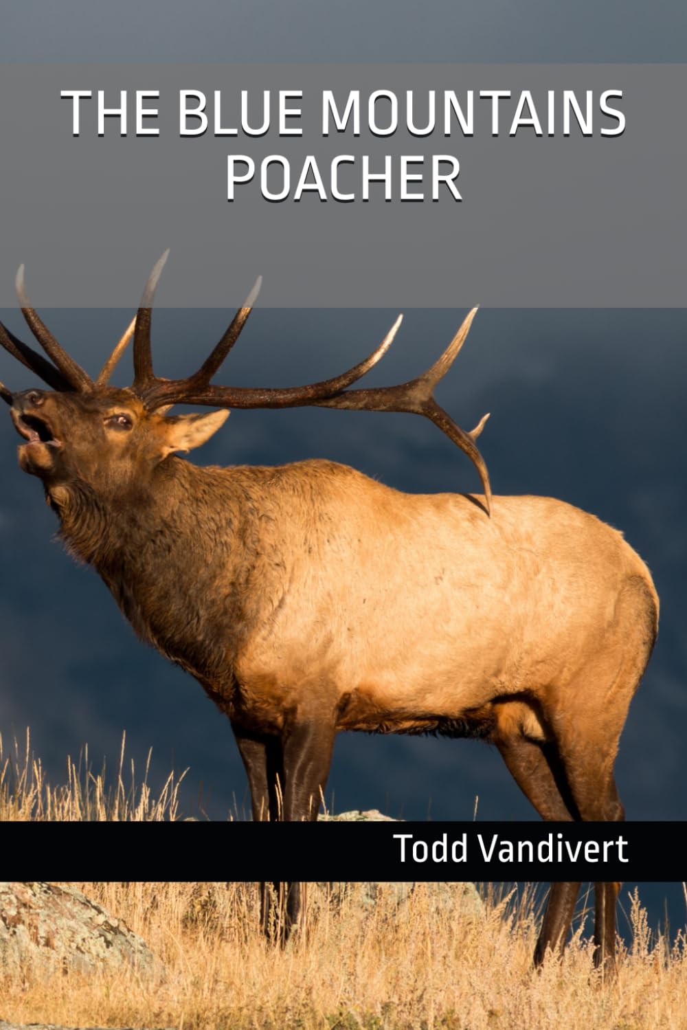 THE BLUE MOUNTAINS POACHER