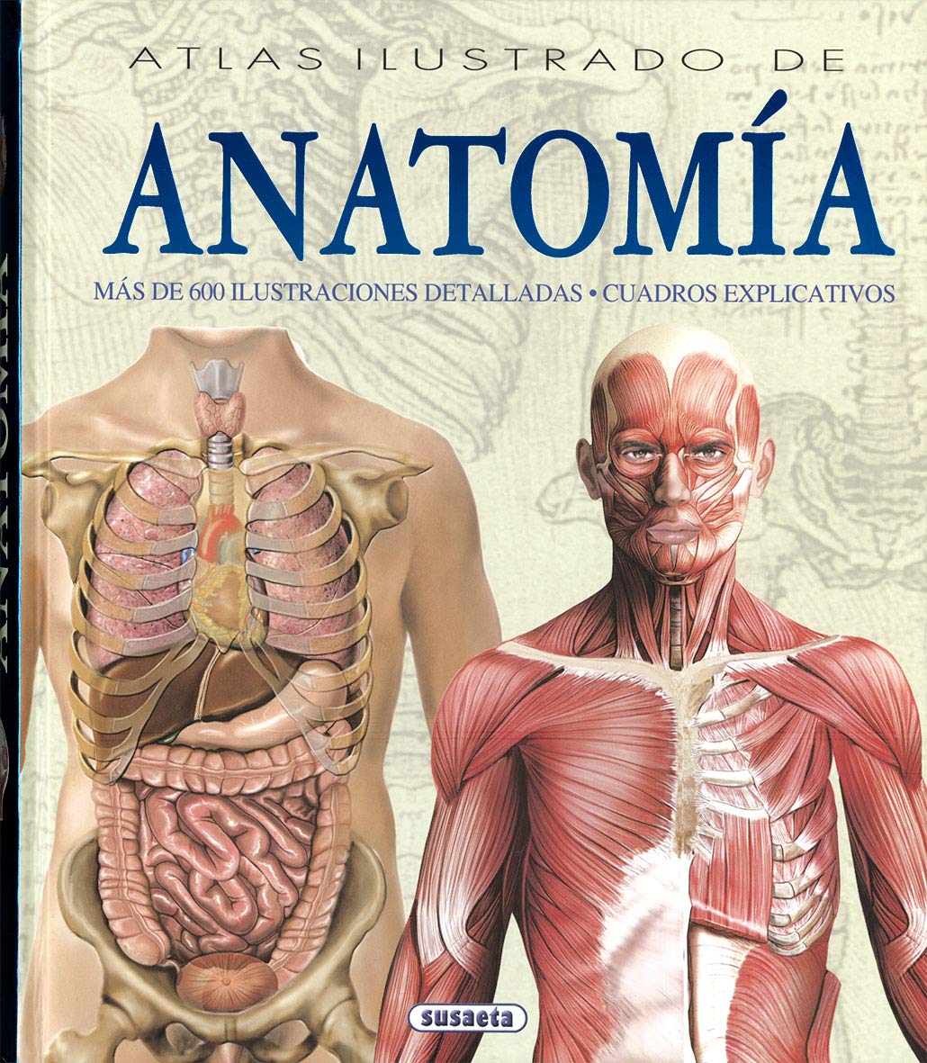 Atlas ilustrado de anatomía (Spanish Edition)