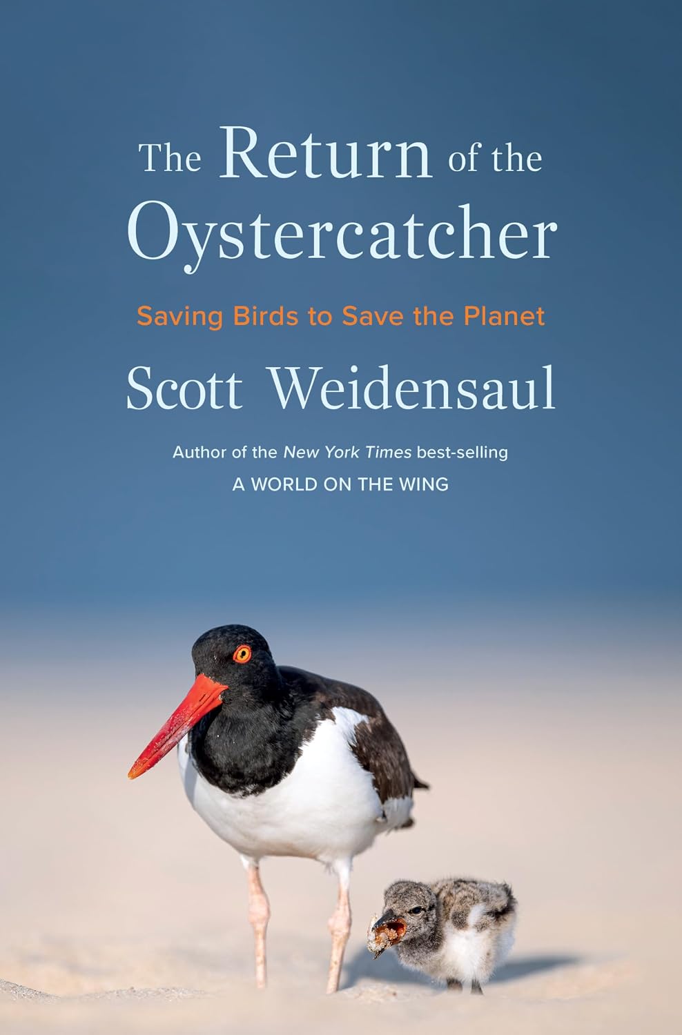 The Return of the Oystercatcher: Saving Birds to Save the Planet