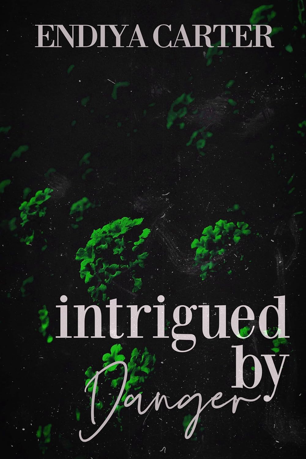 Intrigued by Danger (The Danger Family Book 3)
