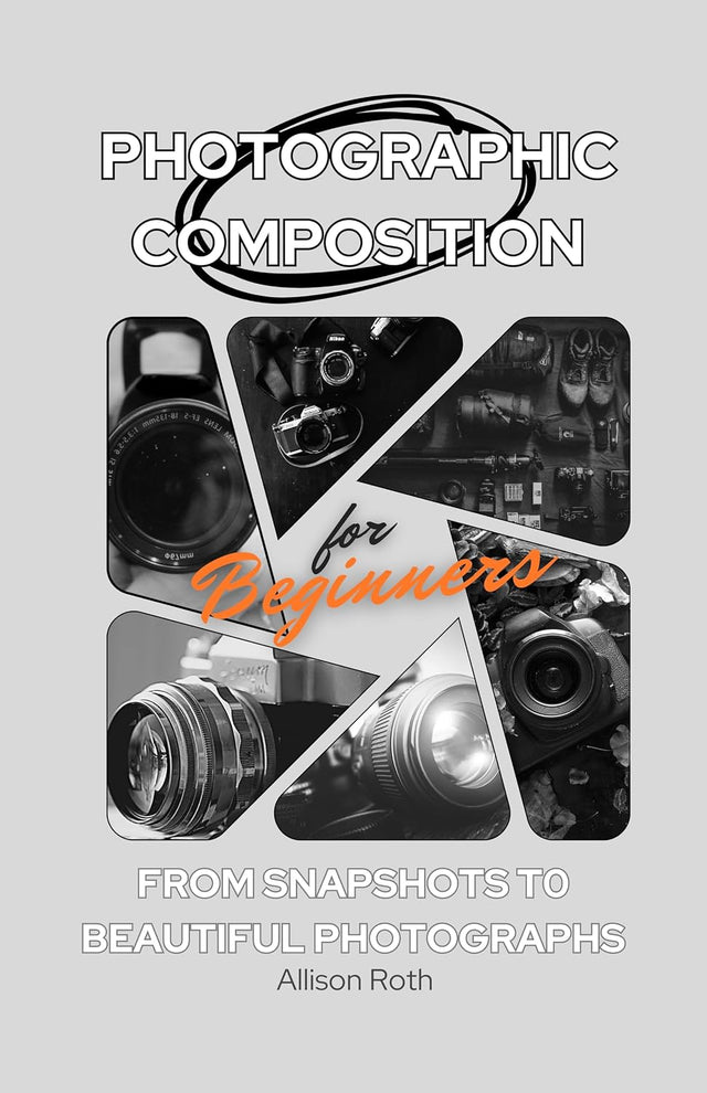 Photographic Composition for Beginners: From snapshots to beautiful photographs