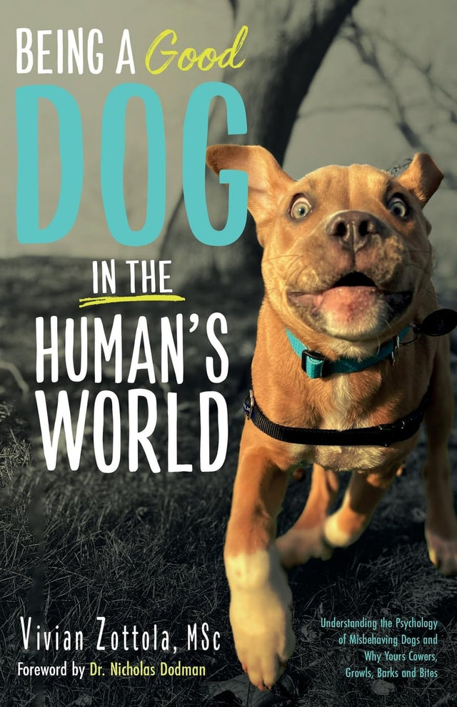 Being A (Good) Dog In The Human's World: Understanding the Psychology of Misbehaving Dogs and Why Yours Cowers, Growls and Bites