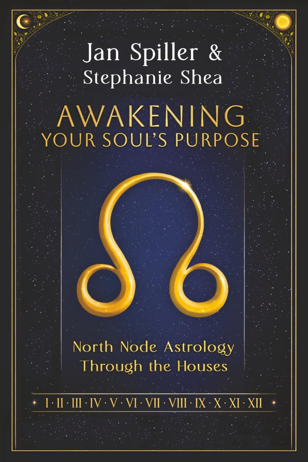 Awakening Your Soul’s Purpose: North Node Astrology Through the Houses