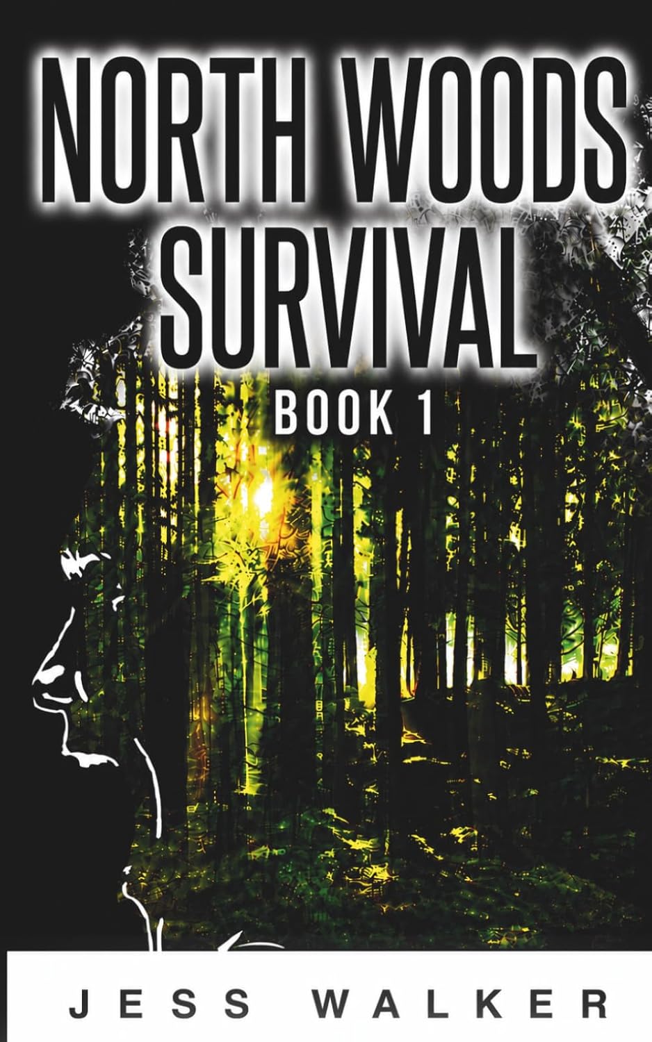 North Woods Survival: A Wilderness Adventure Thriller (North Woods Survival Series)