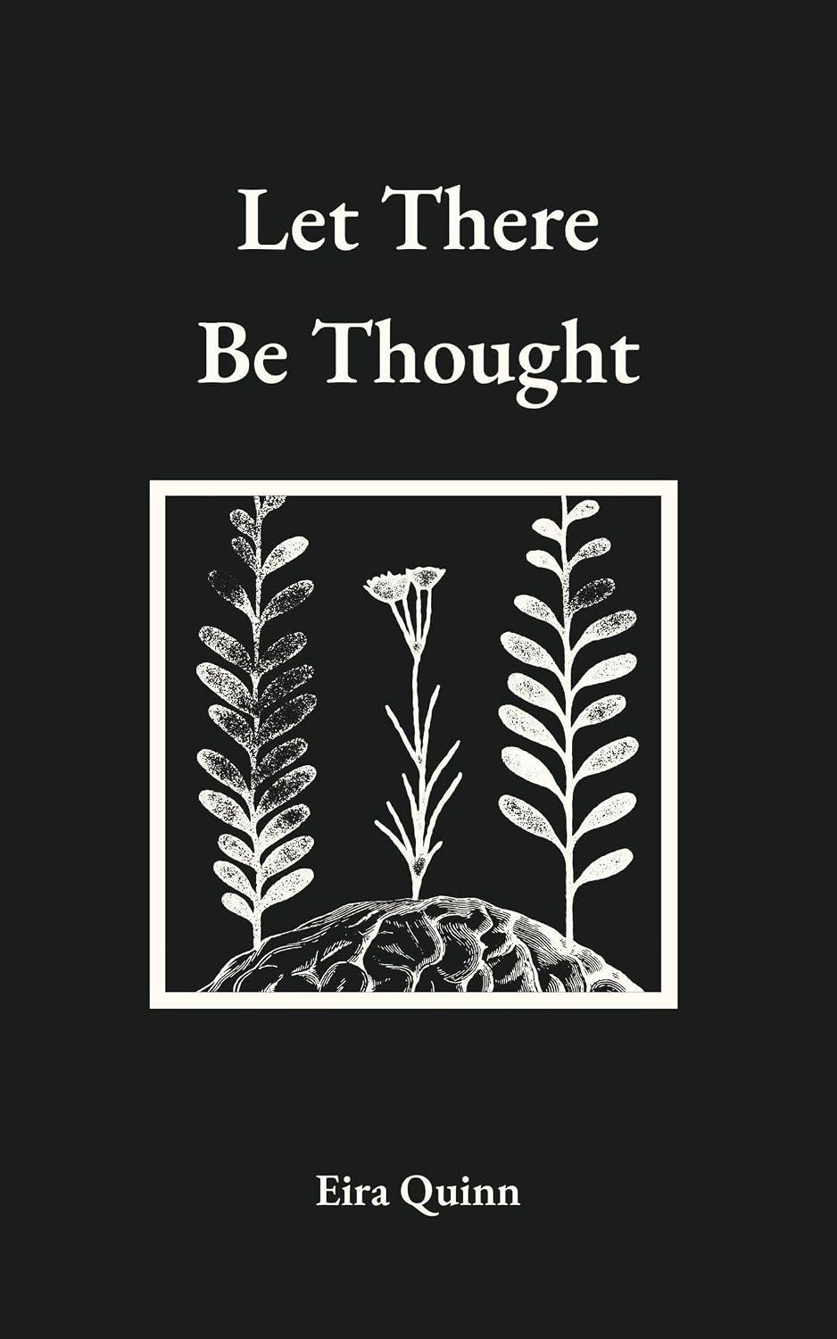 Let There Be Thought: Poems by Eira Quinn