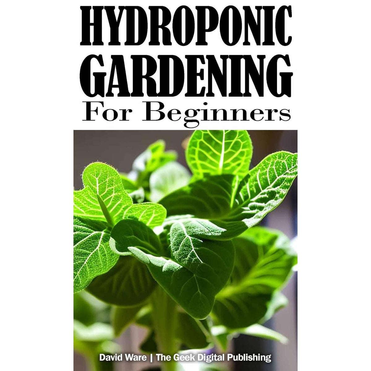 Hydroponic Gardening for Beginners