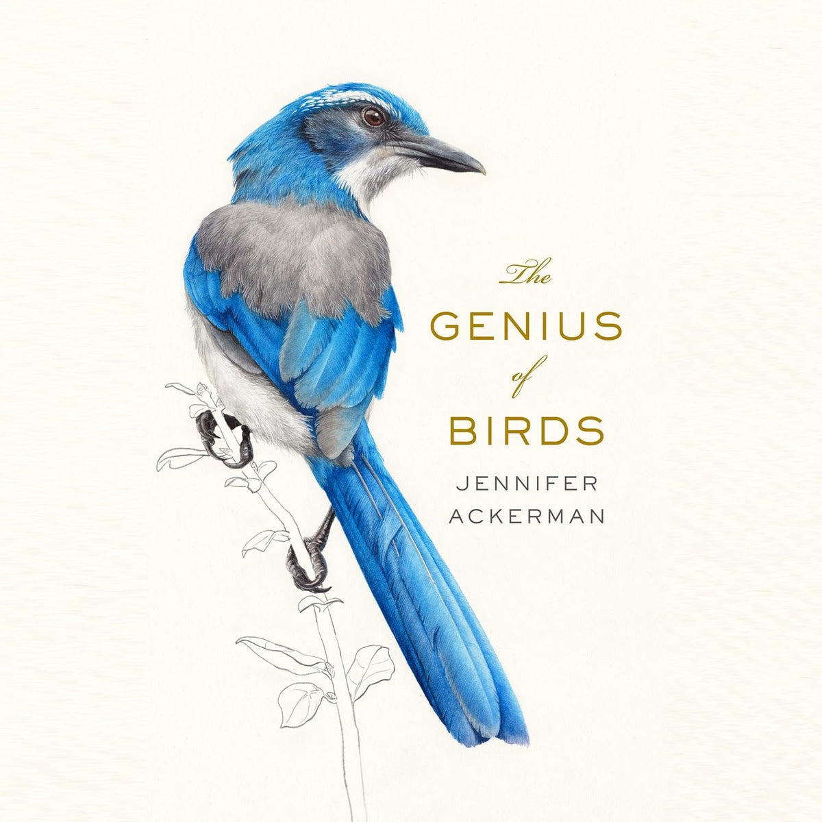 The Genius of Birds