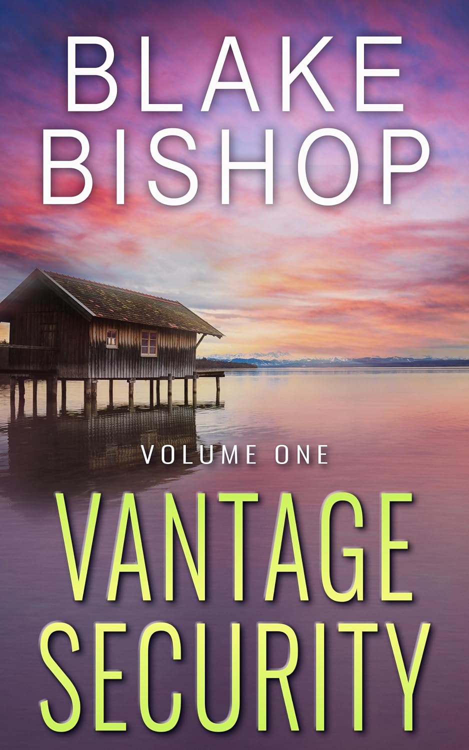 Vantage Security Box Set 1