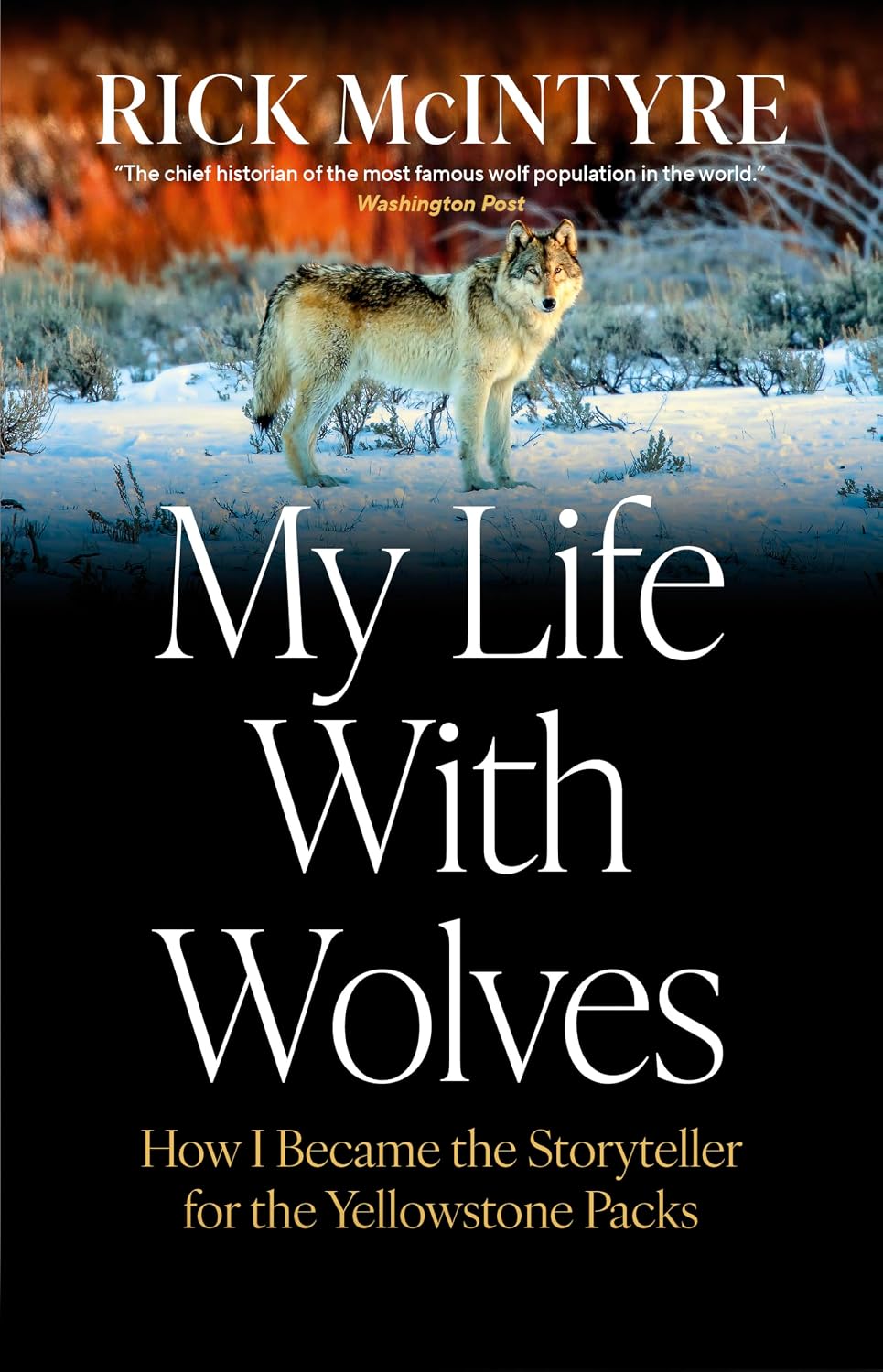 My Life With Wolves: How I Became the Storyteller for the Yellowstone Packs