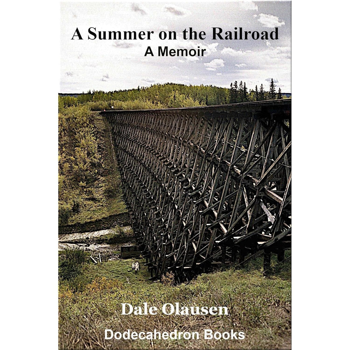 One Summer Working on the Railroad - A Memoir