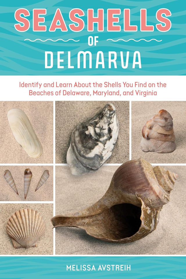 Seashells of Delmarva: Identify and Learn About the Shells You Find on the Beaches of Delaware, Maryland, and Virginia (Identify and Learn About Seashells: Handy User Guides with Photos, 2)