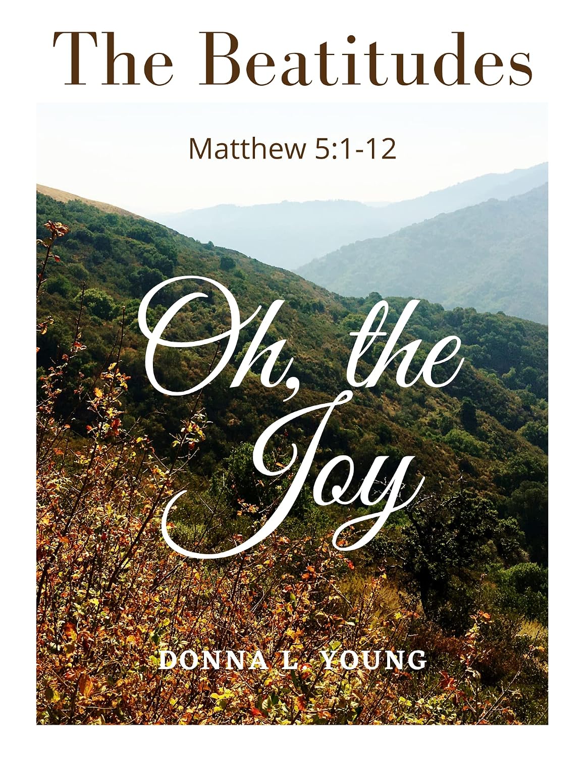 The Beatitudes: Oh, the Joy (Apologies From A Repentant Christian)