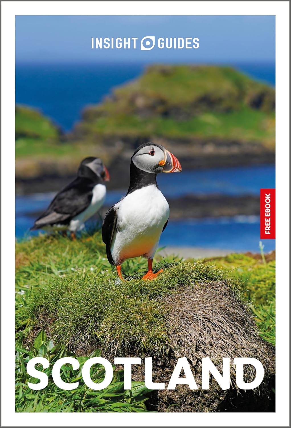 Insight Guides Scotland: Travel Guide with eBook: 2026-2027 | Culture & Society | Must-See Sights | Stunning Photos | Expert Advice | Covers: Edinburgh, Highlands, Isle of Skye and more