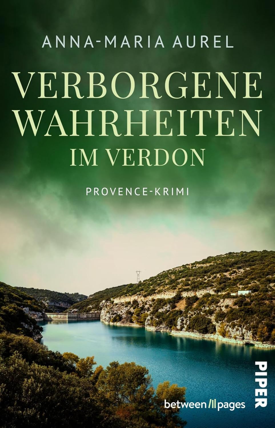 Verborgene Wahrheiten im Verdon: Provence-Krimi | Ermittlerroman um dunkle Geheimnisse in Südfrankreich (Capitaine Mathieu Dubois ermittelt 5)