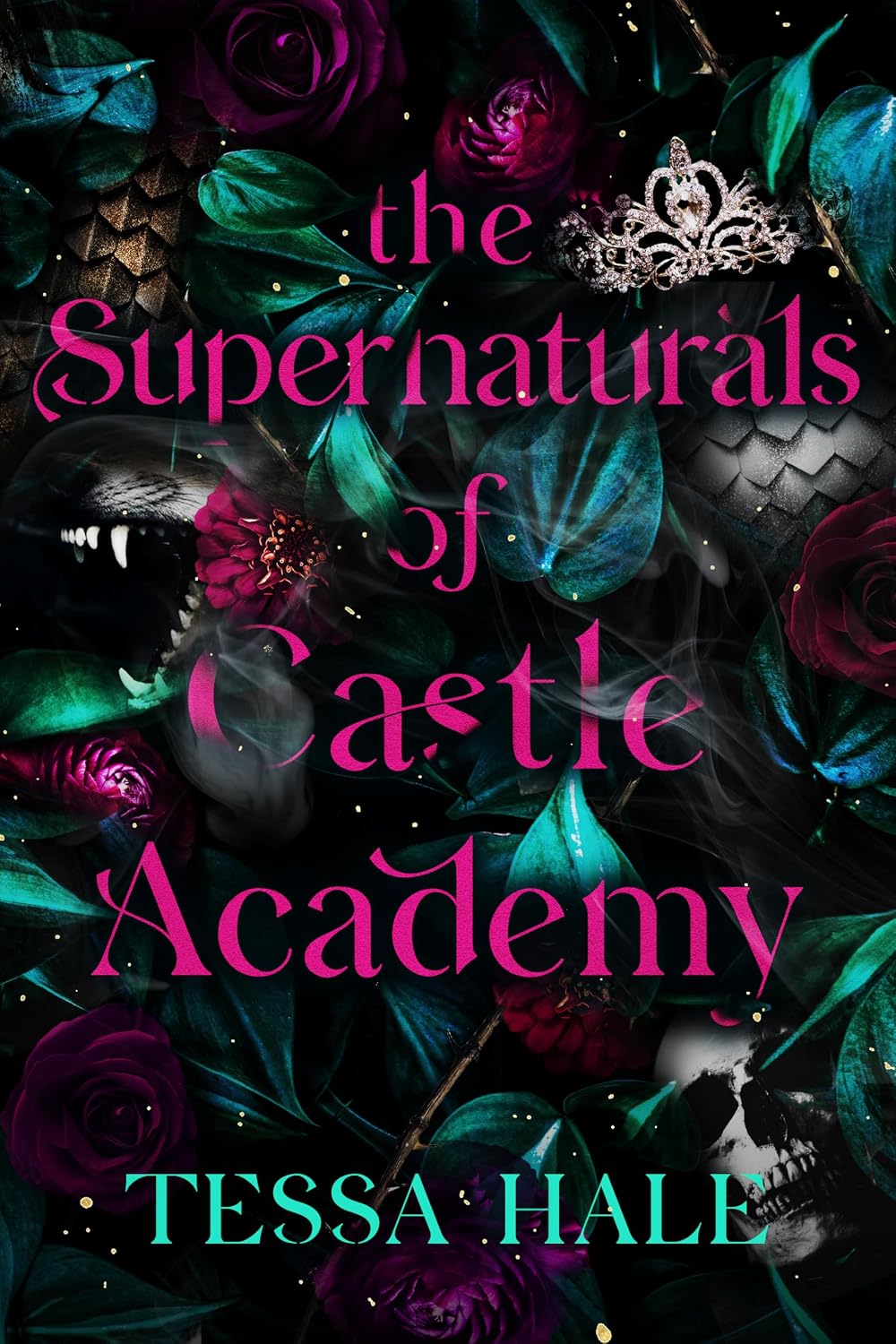 Supernaturals of Castle Academy: The Complete Series Box Set