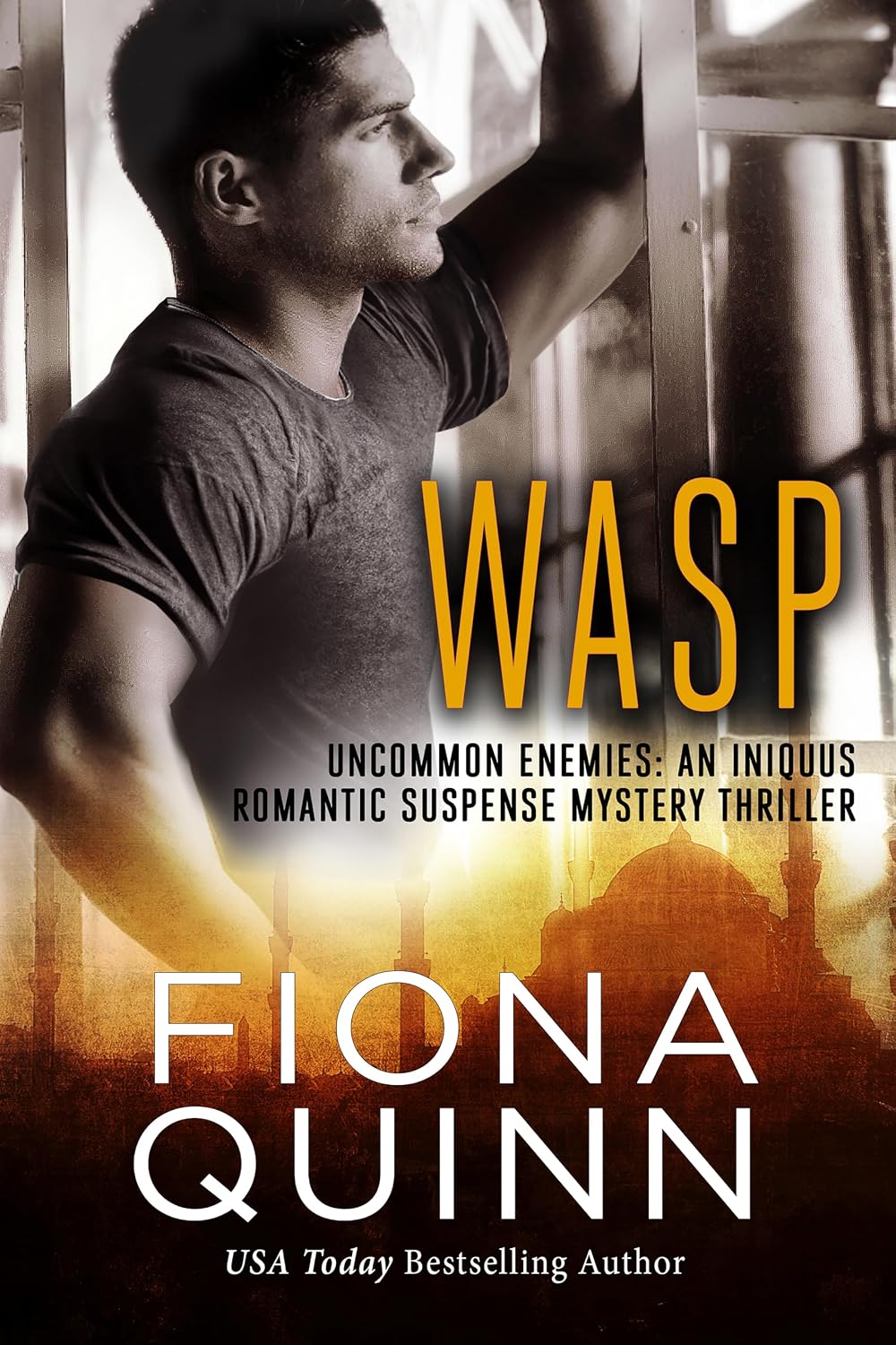 Wasp (Uncommon Enemies Book 1)