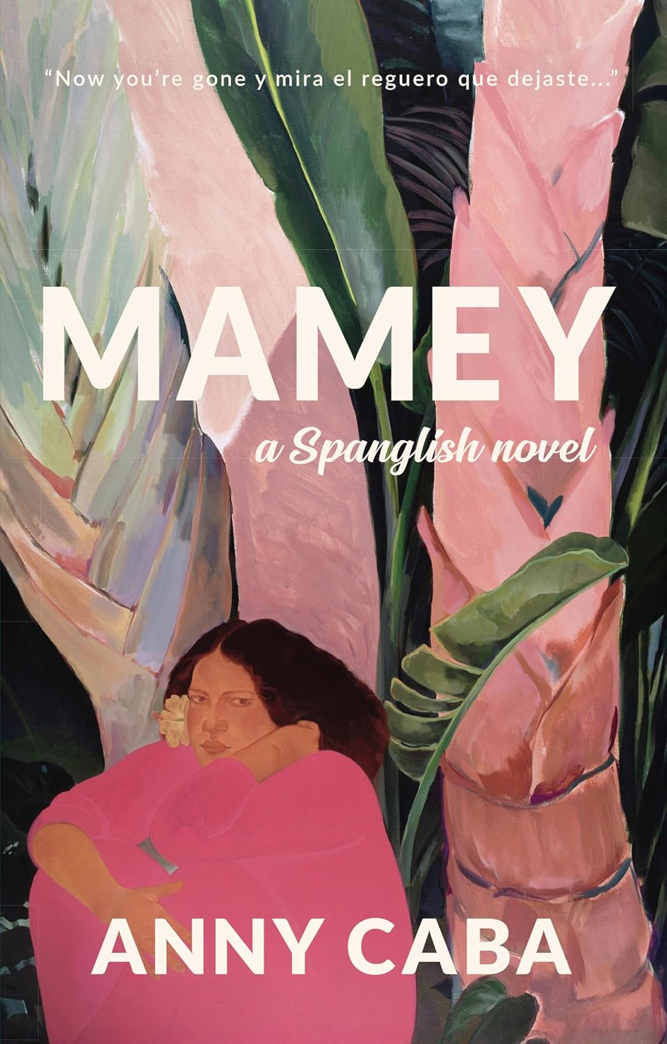 Mamey: a Spanglish novel