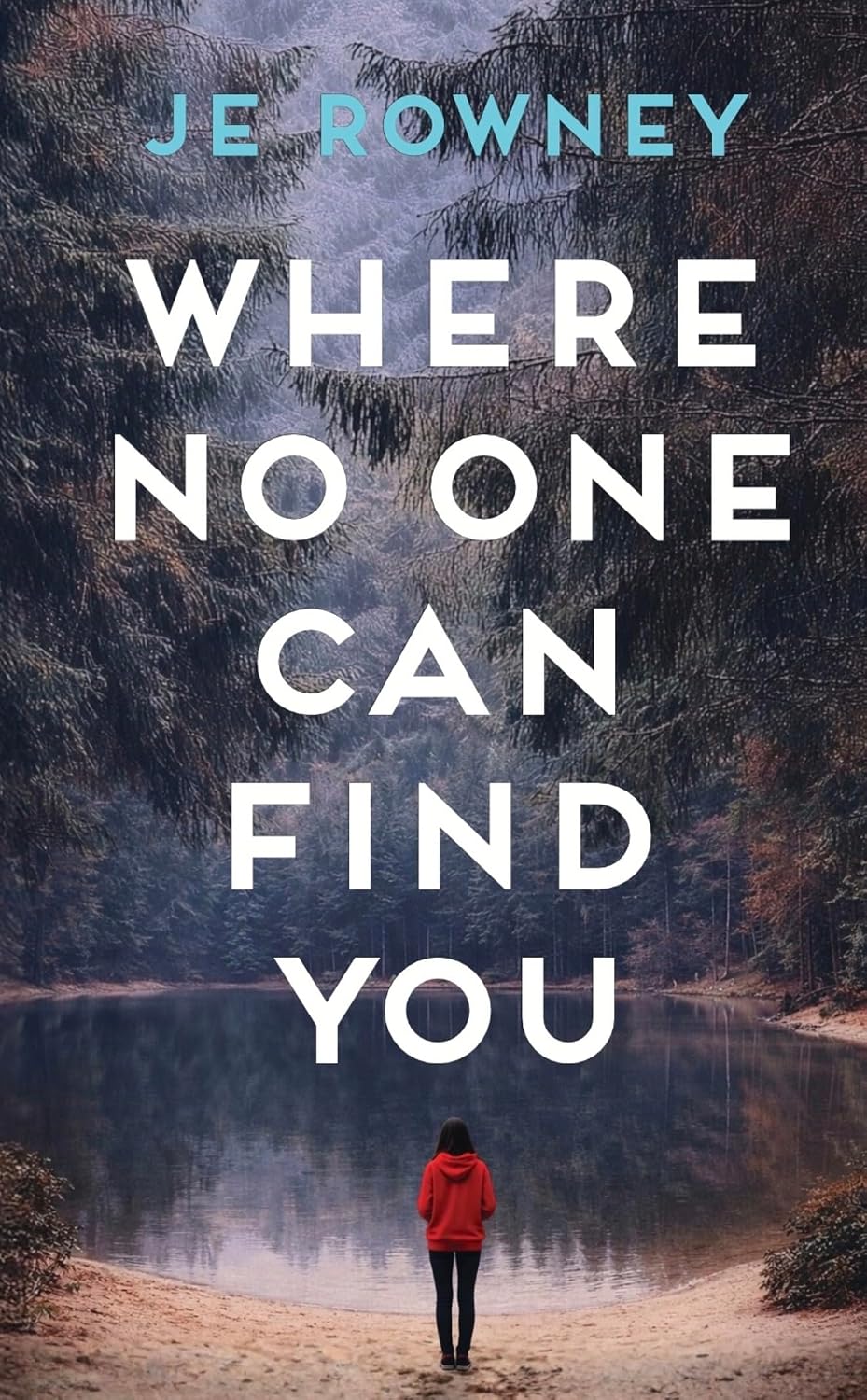 Where No One Can Find You (The Survivor Stories Book 2)