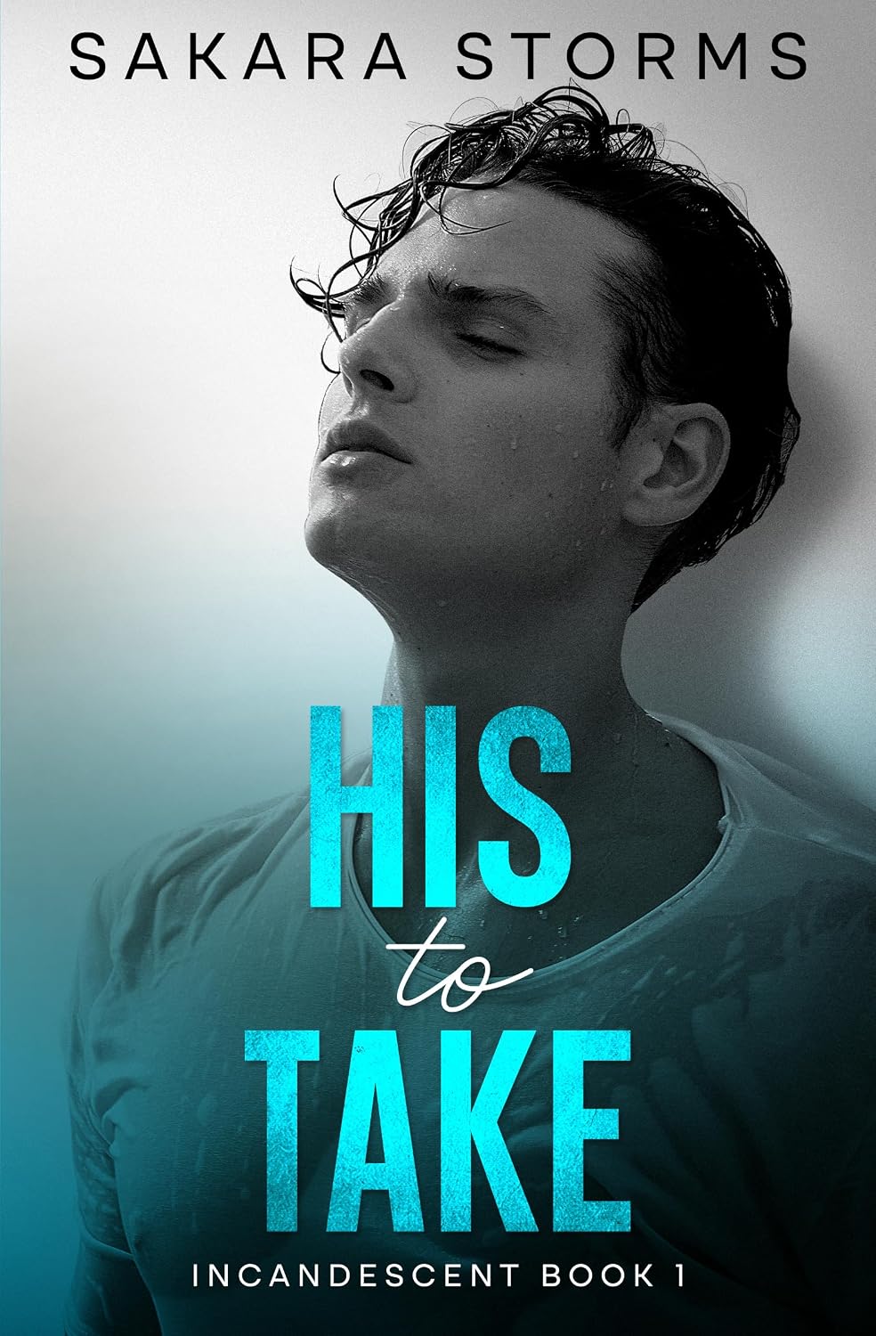 His to Take: Steamy MM Romance (INCANDESCENT Book 1)