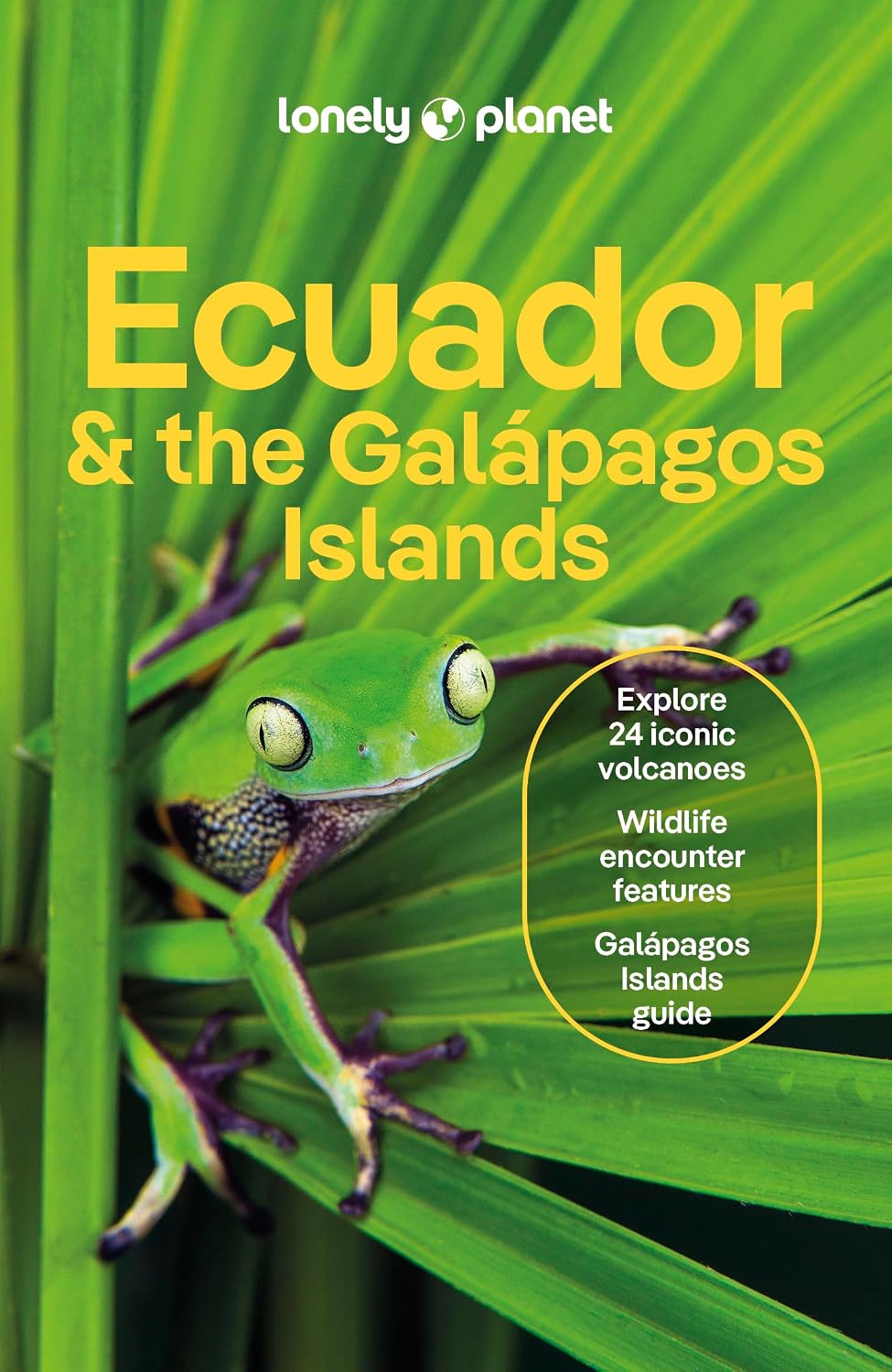 Lonely Planet Ecuador & the Galapagos Islands: Plan the Trip of a Lifetime | Detailed Itineraries & Maps | Insider Tips | Covers Quito, Northern Highlands, Oriente and more (Travel Guide)