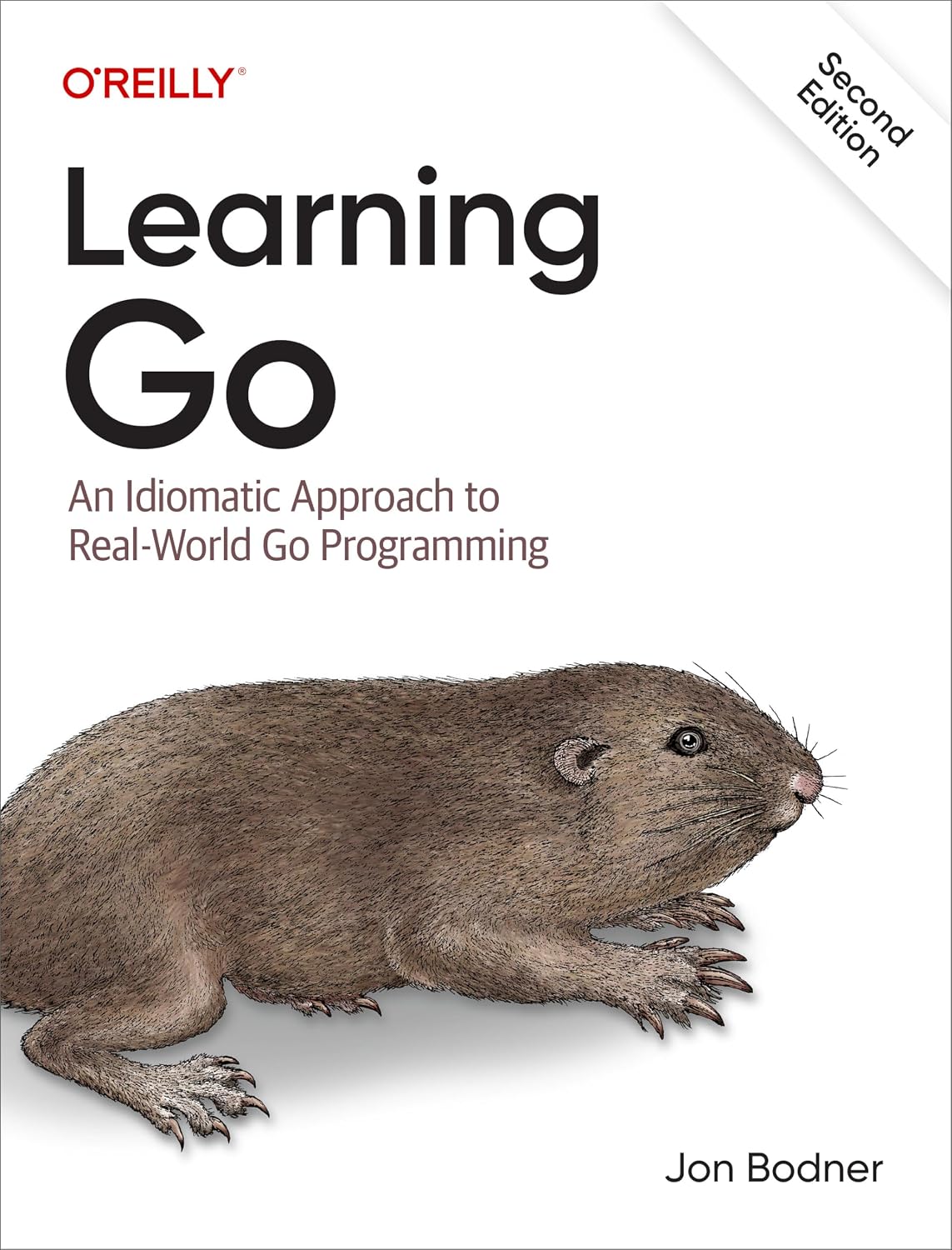 Learning Go: An Idiomatic Approach to Real-World Go Programming