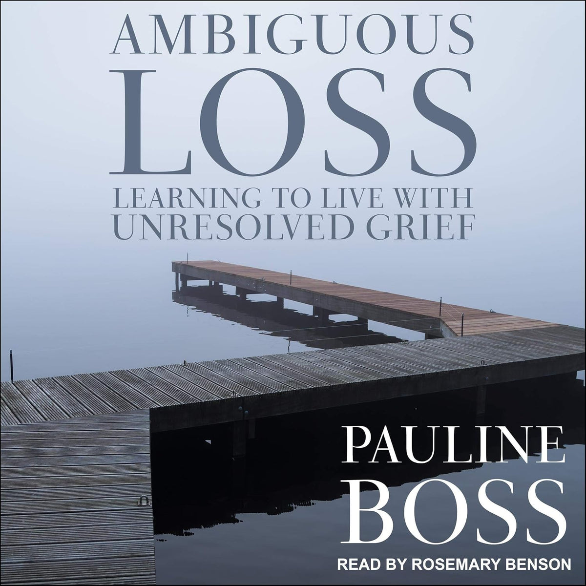 Ambiguous Loss: Learning to Live with Unresolved Grief
