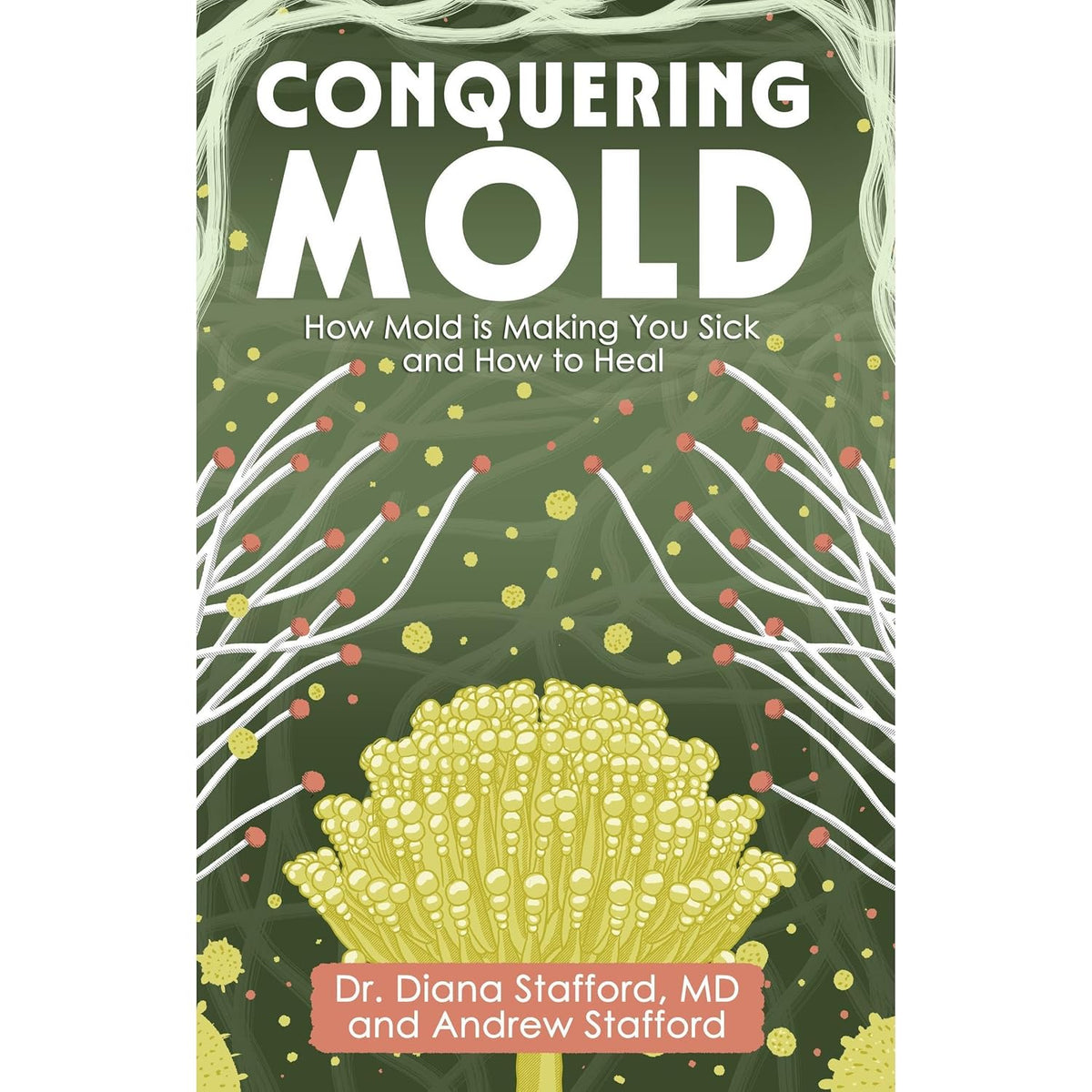 Conquering Mold: How Mold is Making You Sick and How to Heal