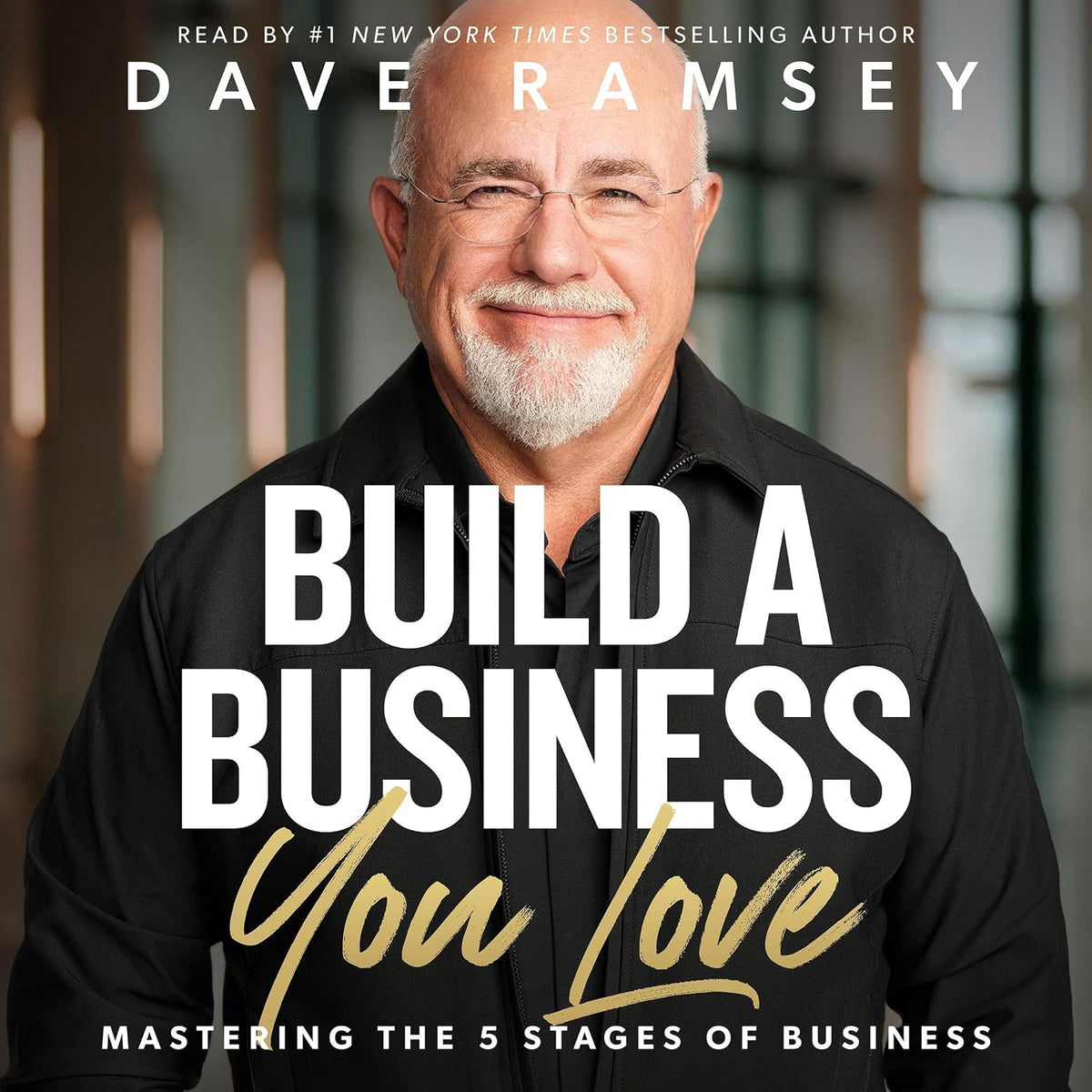 Build a Business You Love: Mastering the Five Stages of Business