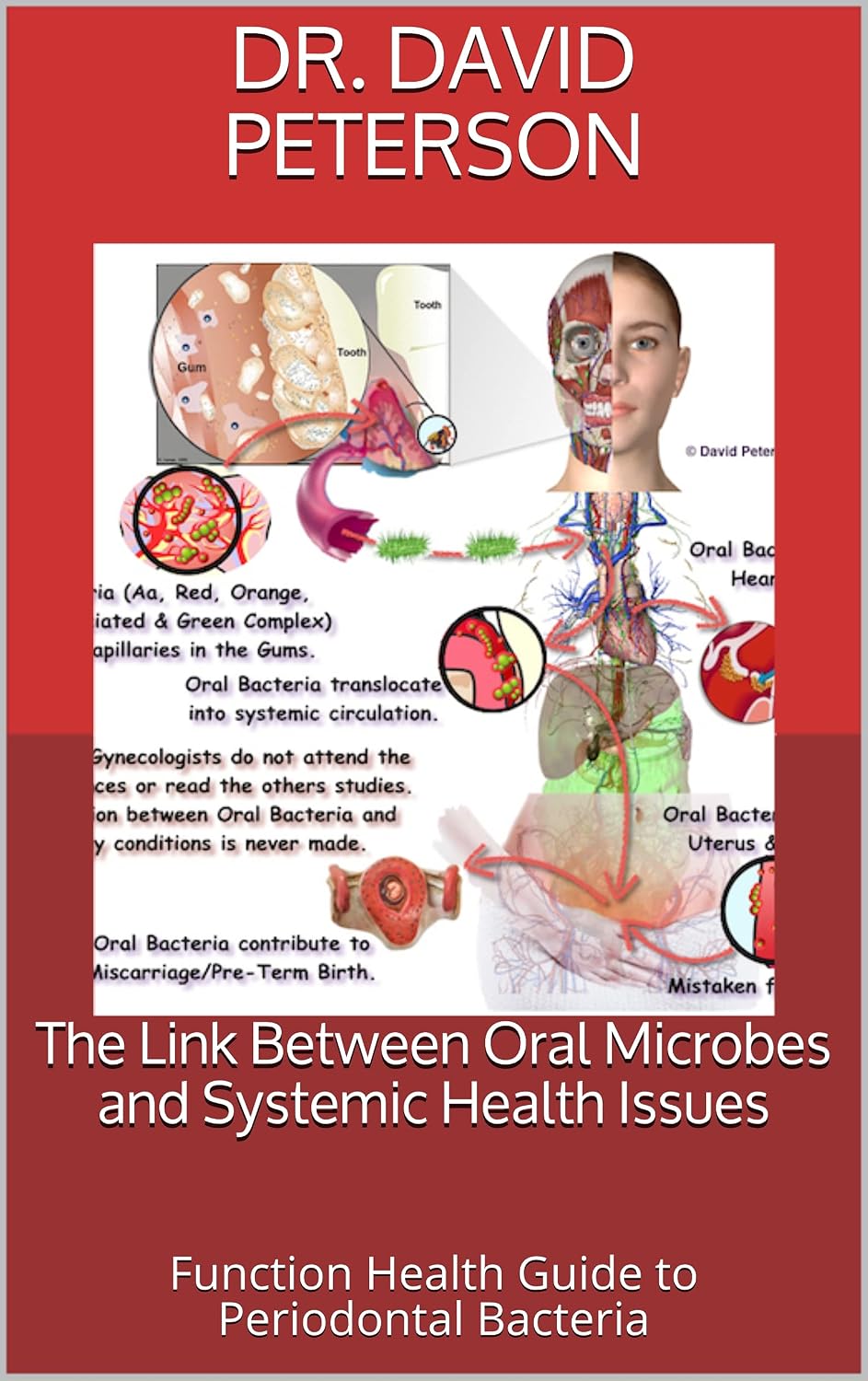 The Link Between Oral Microbes and Systemic Health Issues: Function Health Guide to Periodontal Bacteria