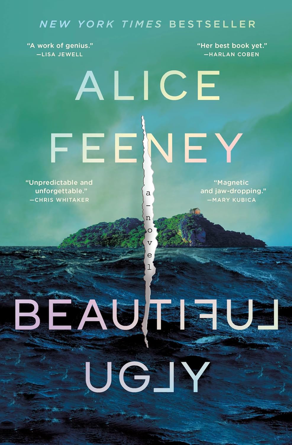 Beautiful Ugly: A Novel