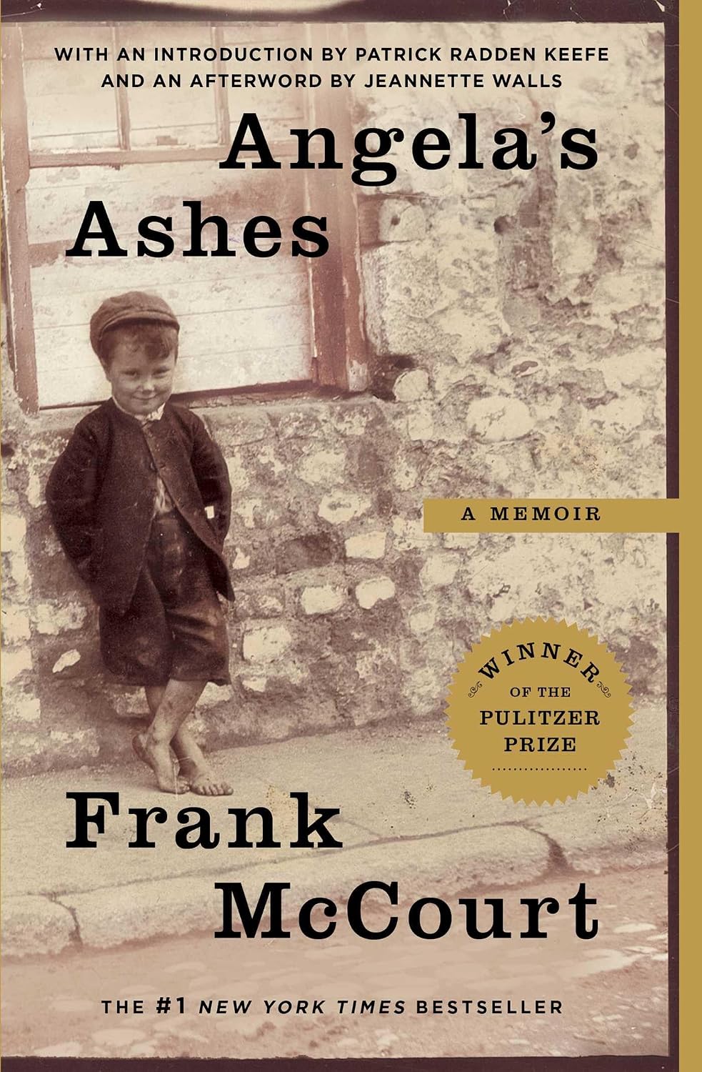Angela's Ashes: A Memoir