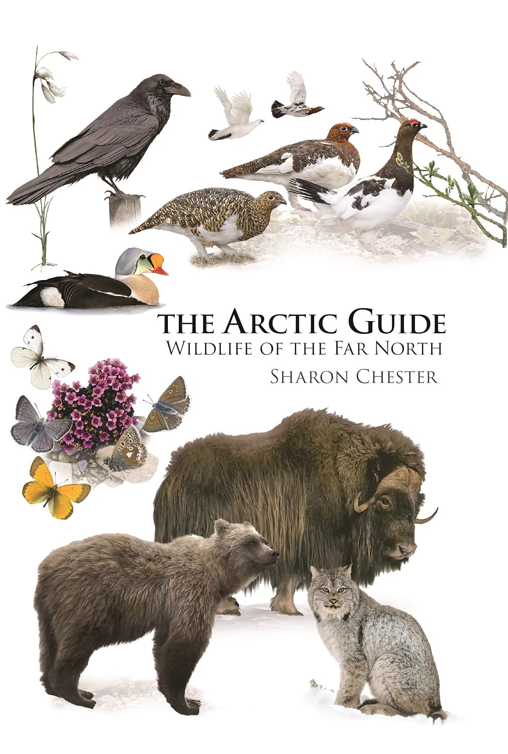 The Arctic Guide: Wildlife of the Far North (Princeton Field Guides)