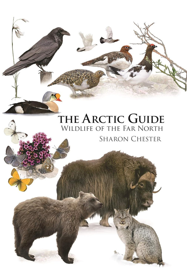 The Arctic Guide: Wildlife of the Far North (Princeton Field Guides)