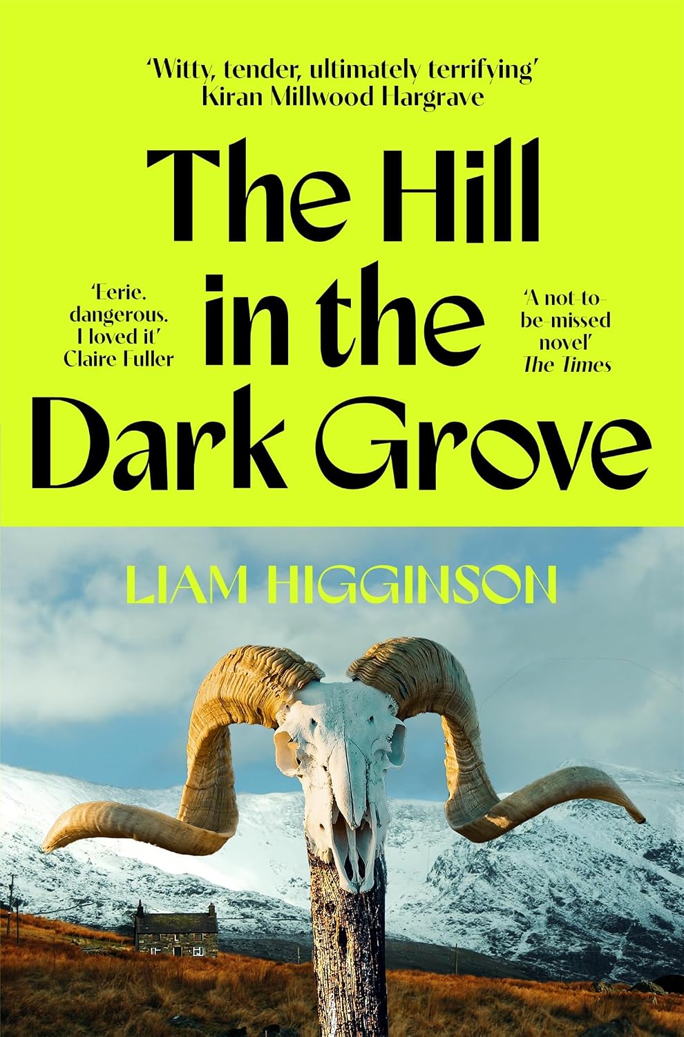 The Hill in the Dark Grove: The haunting folk horror novel that will have you gripped