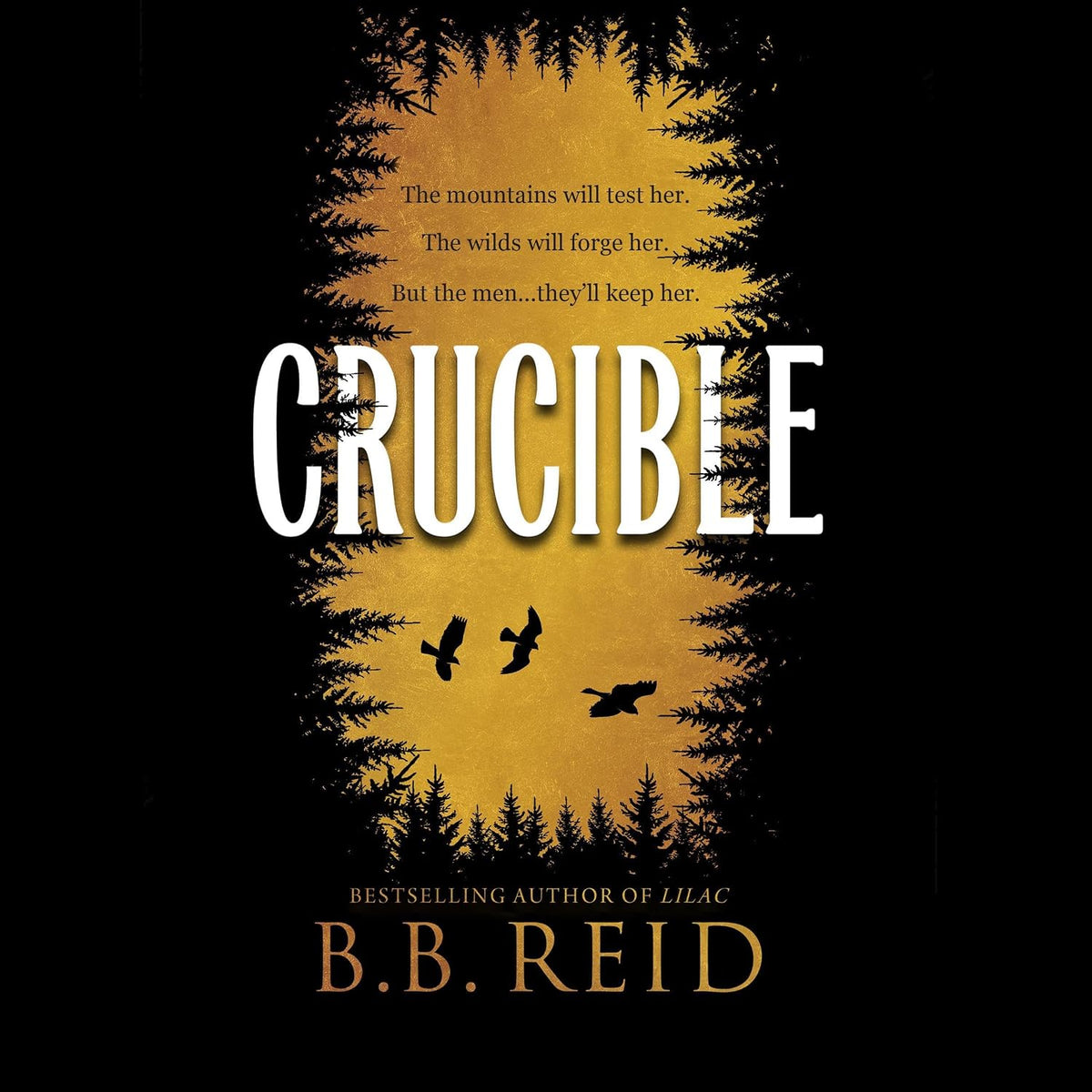 Crucible