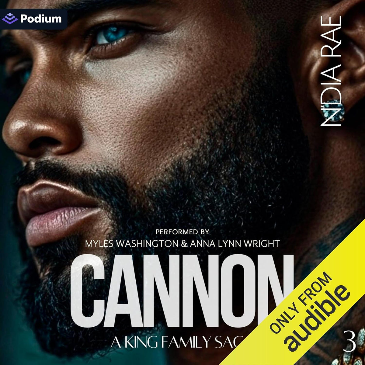 Cannon: A King Family Saga, Book 3