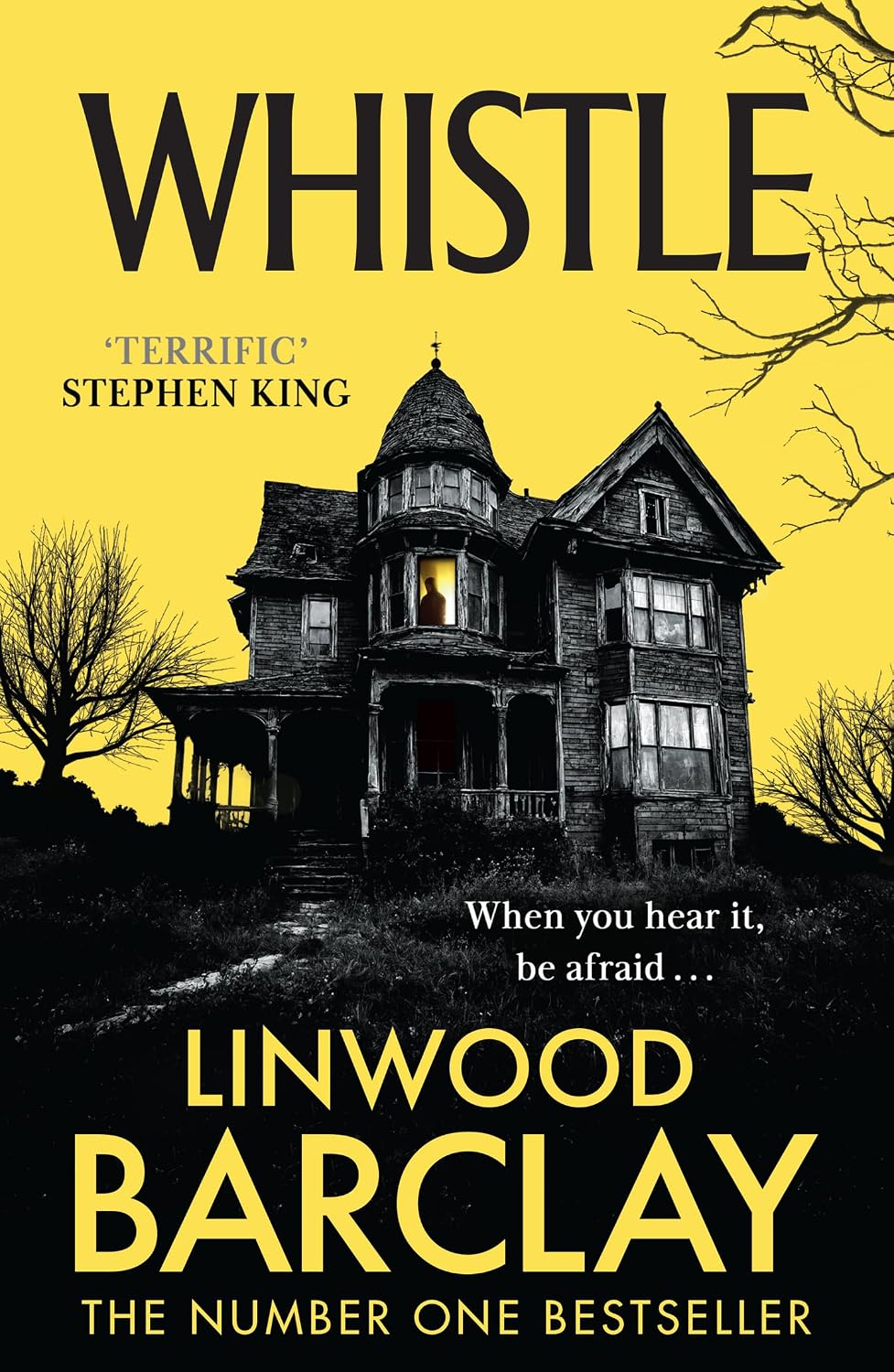 Whistle: A sinister, creepy horror suspense novel from the bestselling author of I Will Ruin You, perfect for fans of Stephen King in 2026!