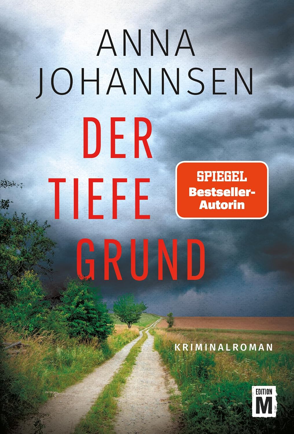 Der tiefe Grund (Ein Fall für Lea Nielsen 2)