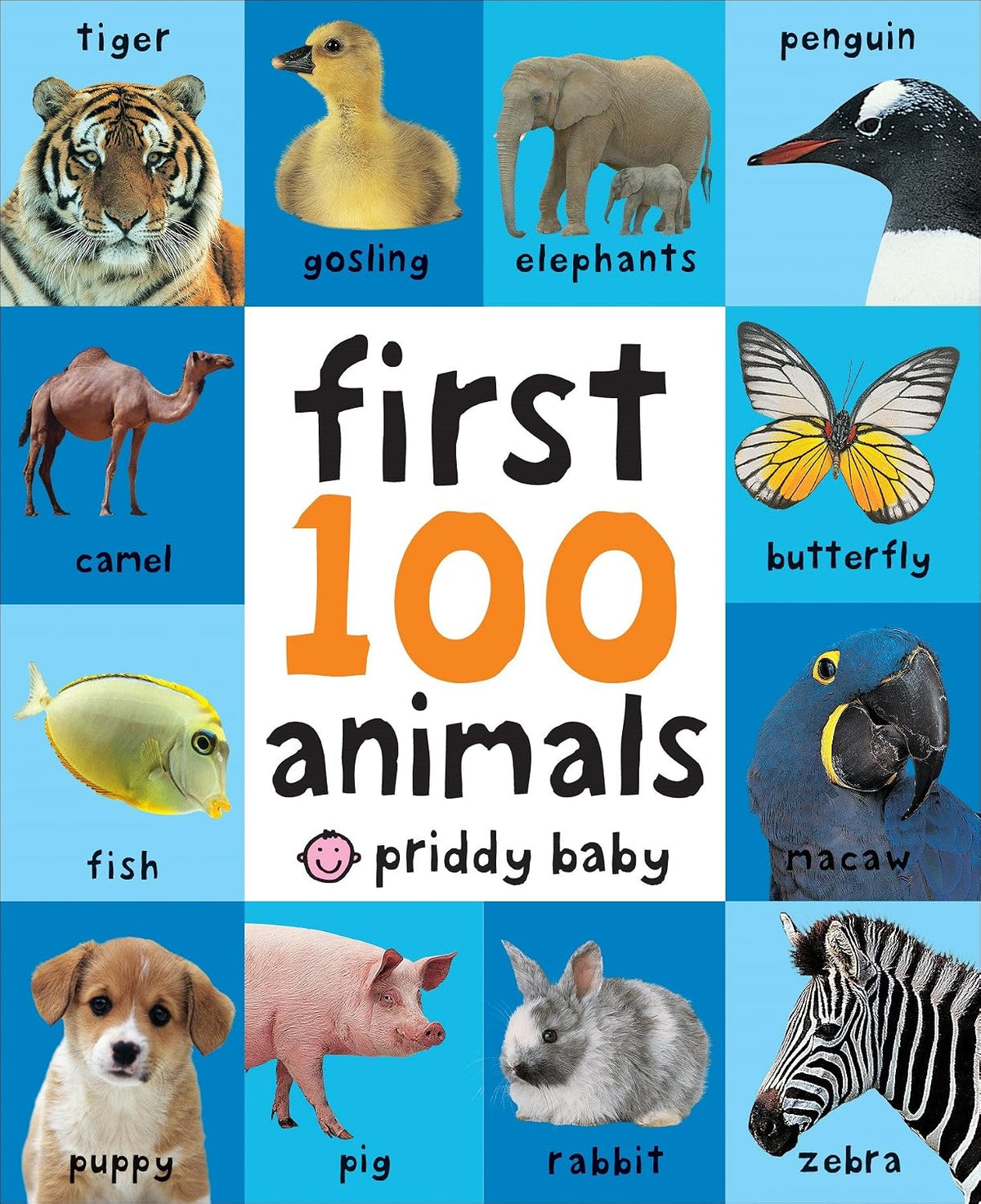 First 100 Animals: A padded book—perfect for little hands to hold