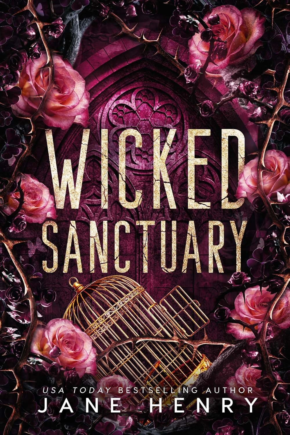 Wicked Sanctuary: A Dark Irish Mafia Age Gap Romance (The McCarthy Family Legacy)