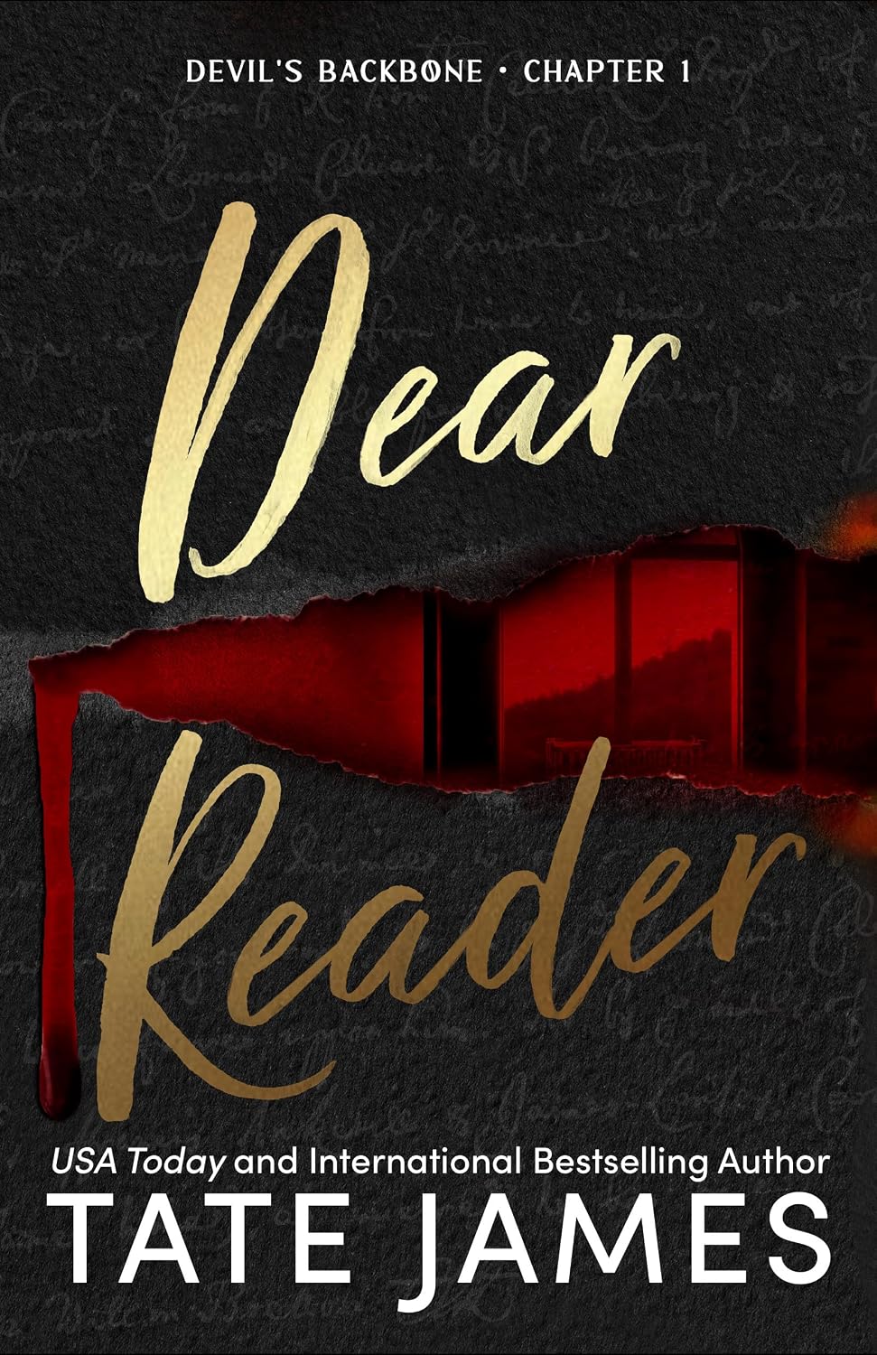 Dear Reader (Devil's Backbone Book 1)