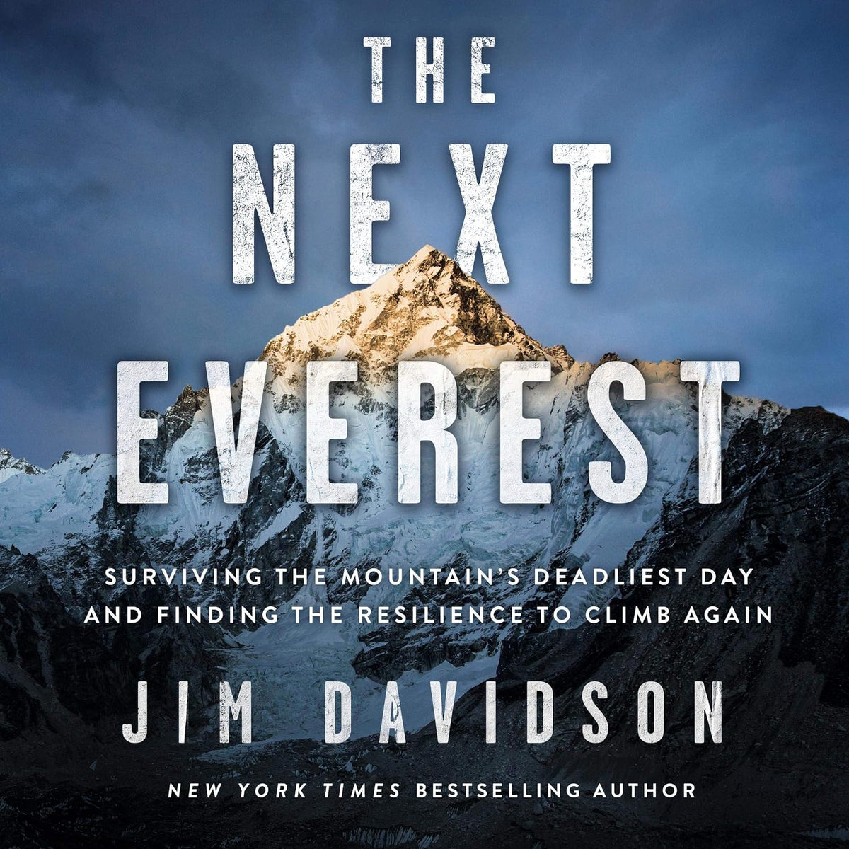 The Next Everest: Surviving the Mountain's Deadliest Day and Finding the Resilience to Climb Again