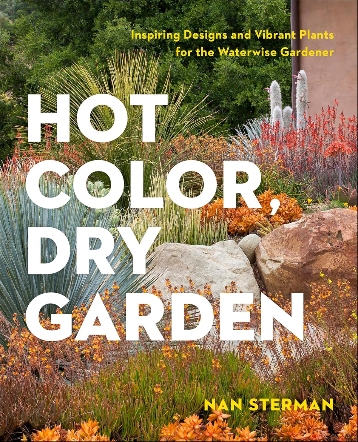 Hot Color, Dry Garden: Inspiring Designs and Vibrant Plants for the Waterwise Gardener