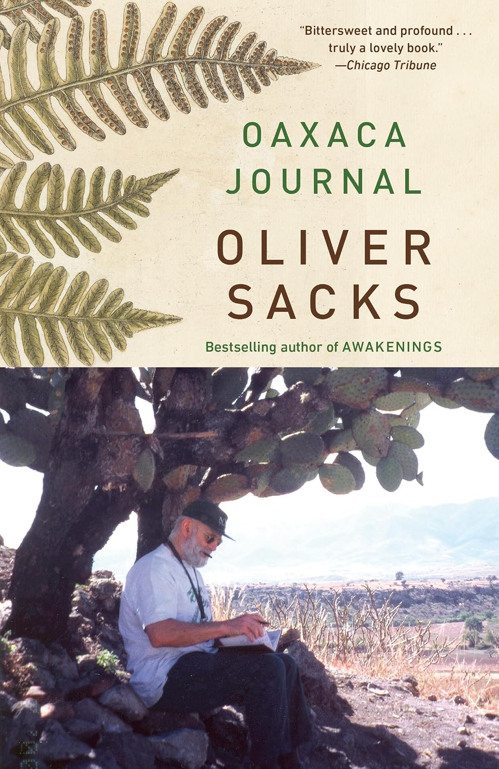 Oaxaca Journal (Vintage Departures)