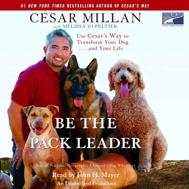 Be the Pack Leader: Use Cesar's Way to Transform Your Dog...And Your Life